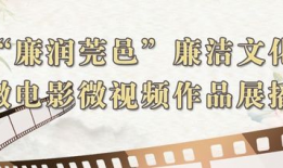 廉洁视频,视频揭示反腐倡廉的力量与智慧
